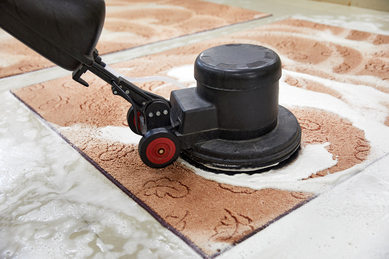 Carpet Chemical Cleaning with Professionally Disk Machine. Early Spring Cleaning or Regular Clean up.